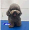 Hutton