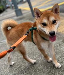 Itaki