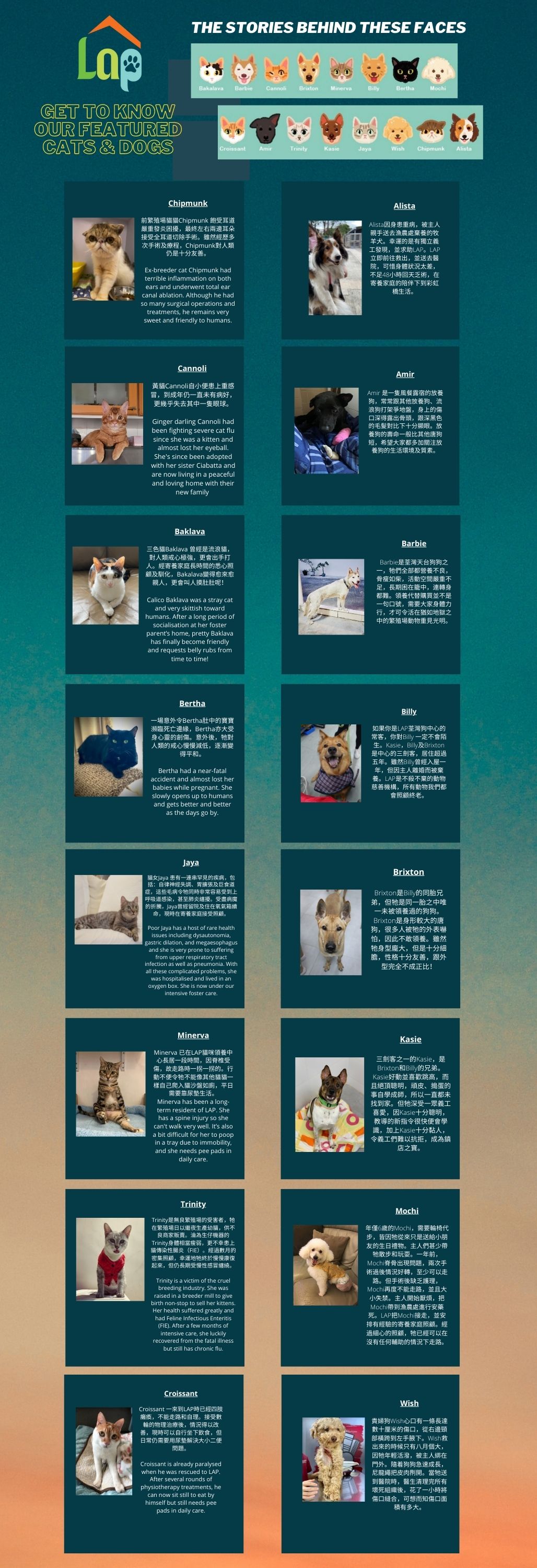 LAP Lifelong Animal Protection Charity