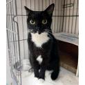 Sunya